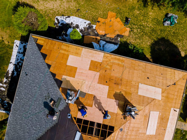 Best Roof Gutter Cleaning  in Ivyland, PA