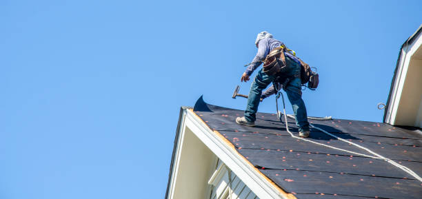 Roof Gutter Cleaning in Ivyland, PA